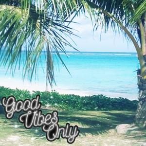 Meet your Posher, Nebi